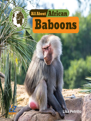 cover image of All About African Baboons